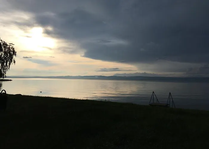 Pitypang شيوفوك