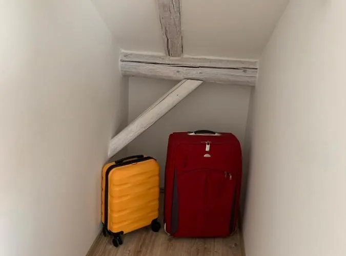 Pitypang شيوفوك