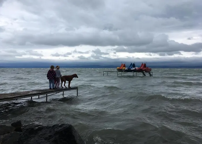 Pitypang שיופוק