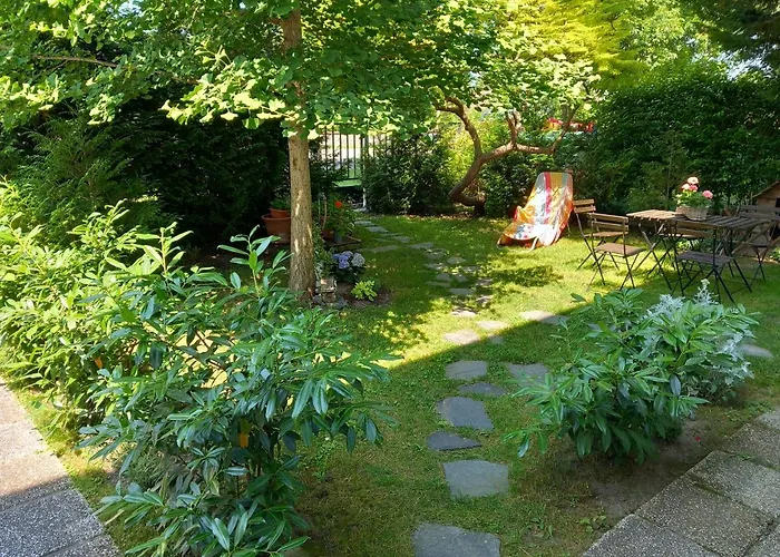 Pitypang * شيوفوك