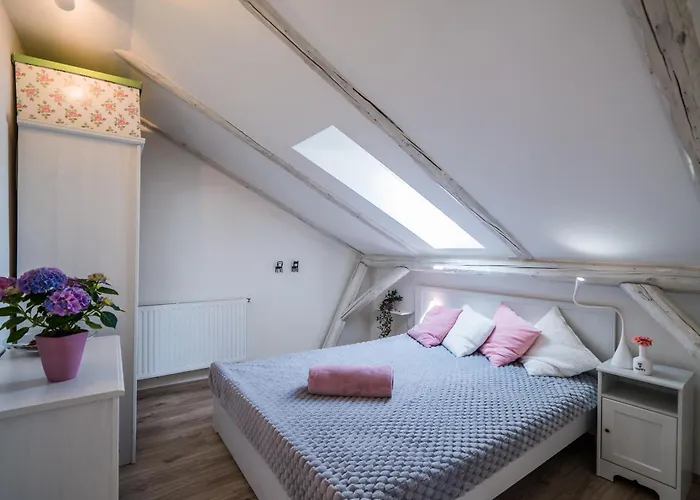 Pitypang شيوفوك