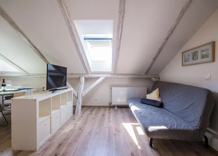 Pitypang דירה שיופוק